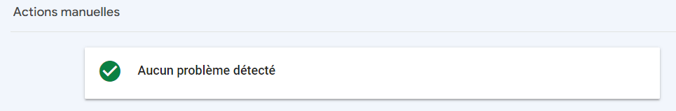 actions manuelles google site validé